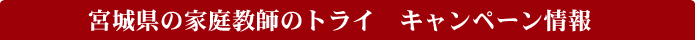 �{�錧�̉ƒ닳�t�̃g���C�@�L�����y�[�����