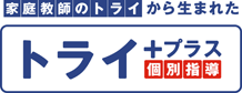 �ƒ닳�t�̃g���C���琶�܂ꂽ �g���C+�v���X �ʎw��