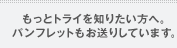 もっとトライを知りたい方へ。パンフレットもお送りしています。