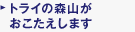 �ƒ닳�t�̃g���C�X�R�������������܂�