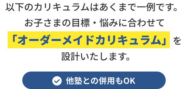 以下のカリキュラムはあくまで一例です。お子さまの目標・悩みに合わせて「オーダーメイドカリキュラム」を設計いたします。 他塾との併用もOK