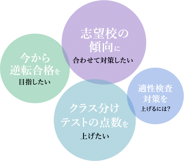 中学生受験対策コース 小学生コース 家庭教師のトライ