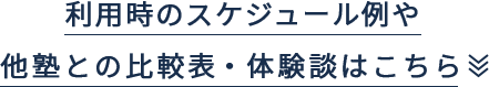 利用時のスケジュール例や他塾との比較・体験談はこちら