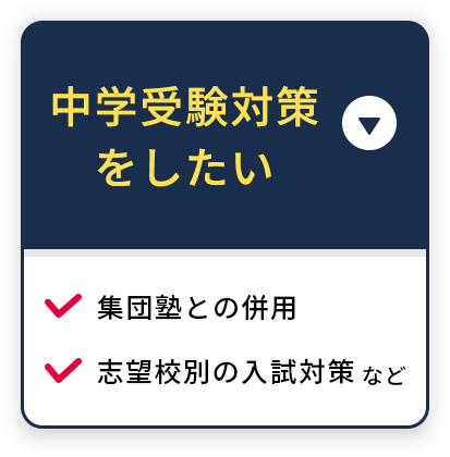 中学受験対策をしたい 集団塾との併用 志望校別の入試対策 など
