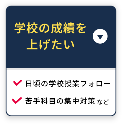 学校の成績を上げたい 日頃の学校授業フォロー 苦手科目の集中対策 など