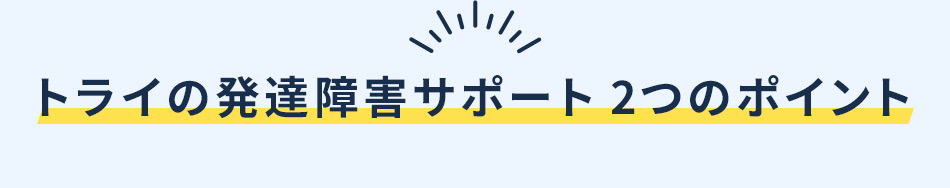 トライの発達障害サポート 2つのポイント