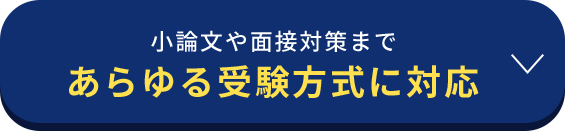 小論文や面接対策まであらゆる受験方式に対応
