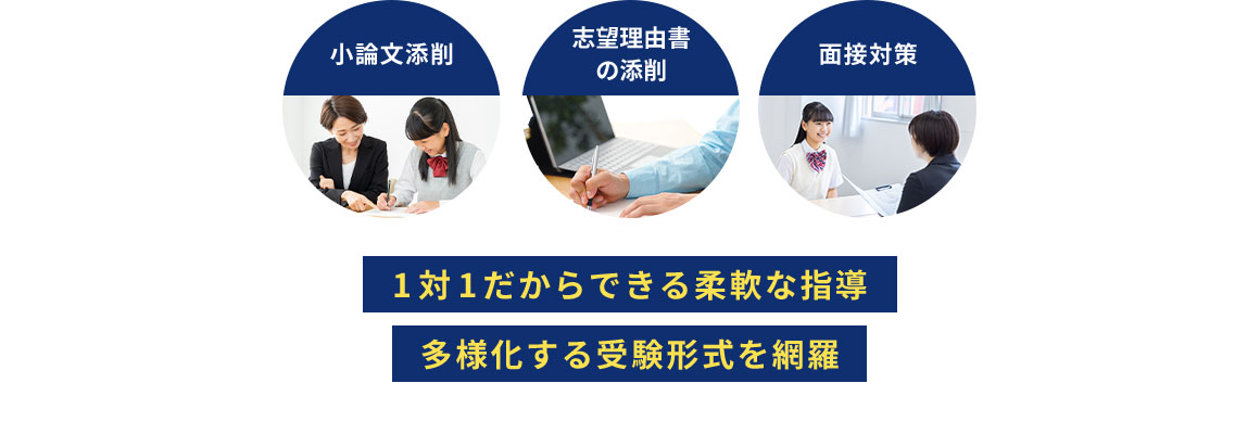 小論文添削 志望理由書の添削 面接対策 1対1だからできる柔軟な指導 多様化する受験形式を網羅
