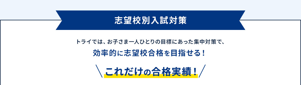 志望校別入試対策 トライでは、お子さま一人ひとりの目標にあった集中対策で、効率的に志望校合格を目指せる！ これだけの合格実績！