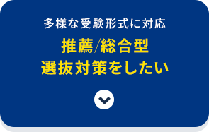 多様な受験形式に対応 推薦／総合型選抜対策をしたい