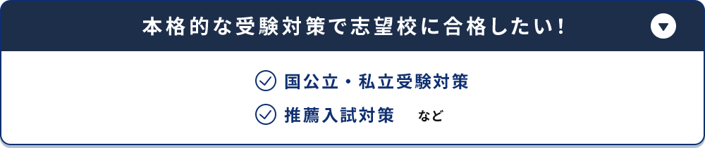 本格的な受験対策で志望校に合格したい！ 国公立・私立受験対策 推薦入試対策 など