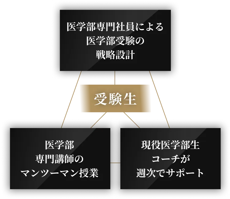 医学部専門社員による医学部受験の戦略設計 医学部専門講師のマンツーマン授業 現役医学部生コーチが週次でサポート