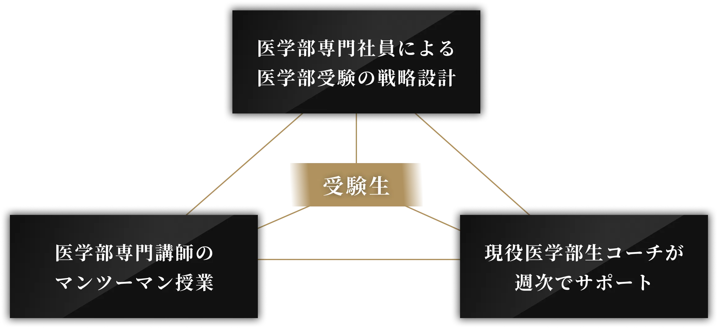 医学部専門社員による医学部受験の戦略設計 医学部専門講師のマンツーマン授業 現役医学部生コーチが週次でサポート