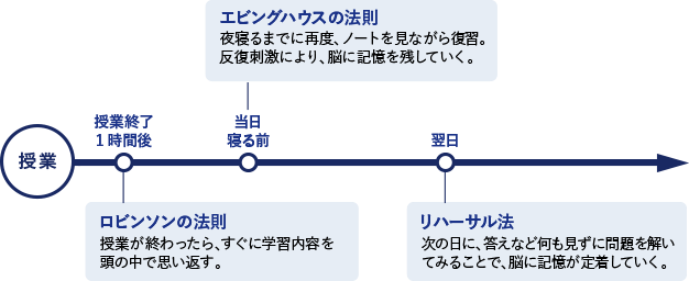 脳科学理論を応用した「トライ式復習法」：脳科学理論を応用した復習法で、学習内容をしっかりと記憶に定着させます。