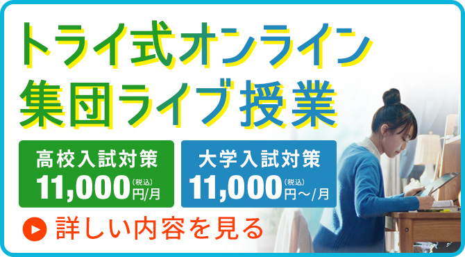 オンライン家庭教師 家庭教師のトライ オンライン家庭教師 家庭教師のトライ